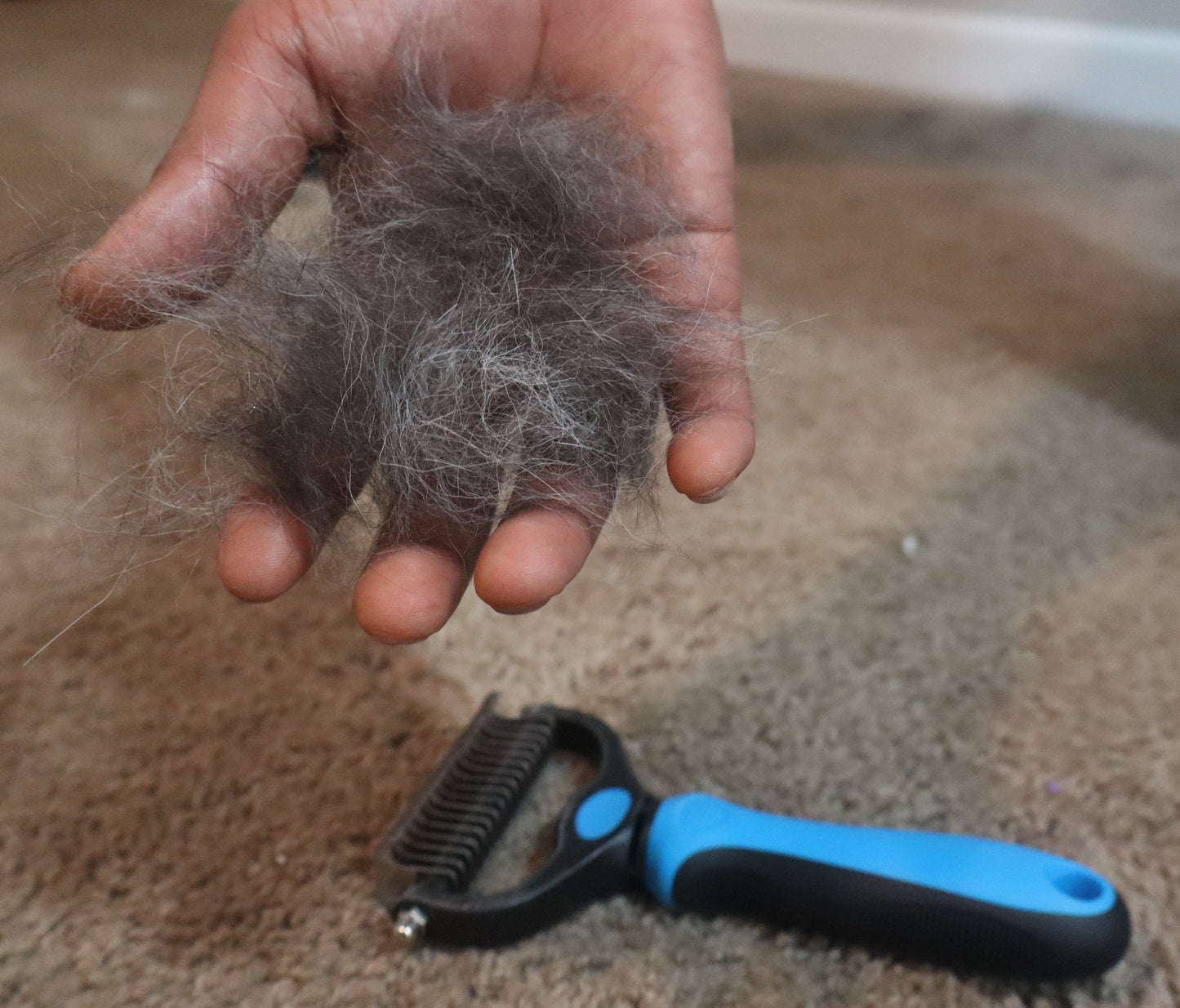 HoneyPaw Shedding Control Kit | Remove Fur from Your Dog & Home