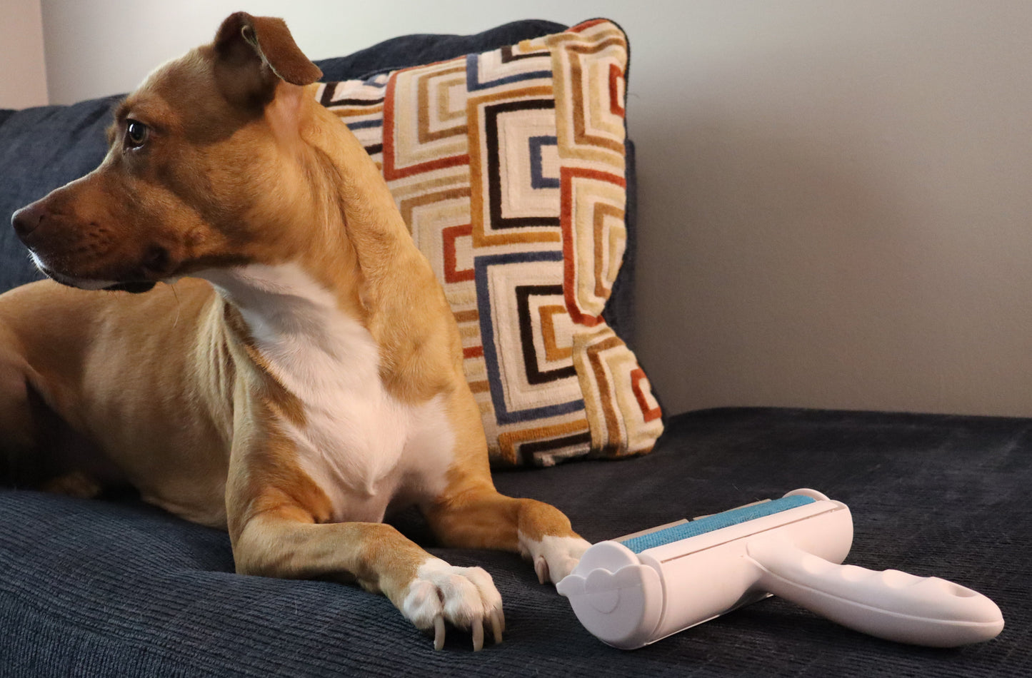 HoneyPaw™ Reusable Pet Hair Remover – Fur & Lint Cleaning Tool