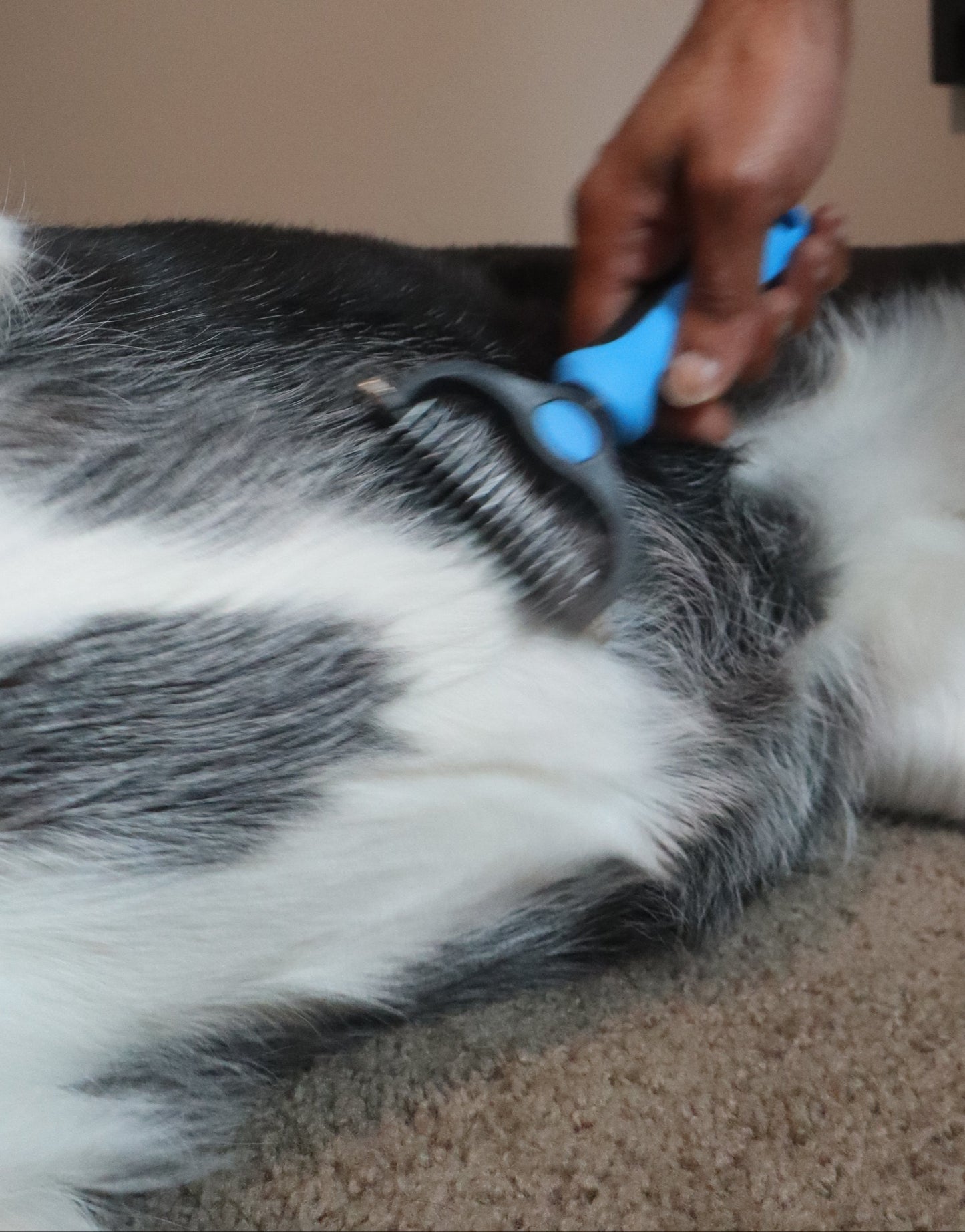 HoneyPaw™ Pro Deshedding Tool