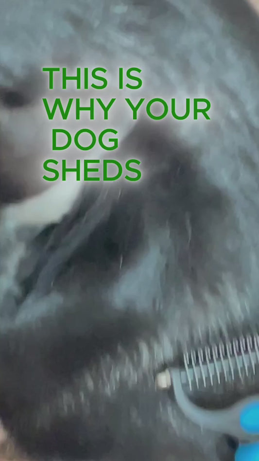 HoneyPaw™ Pro Deshedding Tool